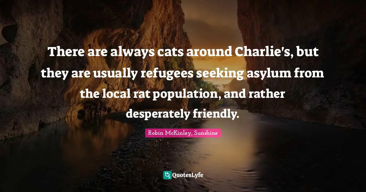 There are always cats around Charlie's, but they are usually refugees seeking asylum from the local rat population, and rather desperately friendly.