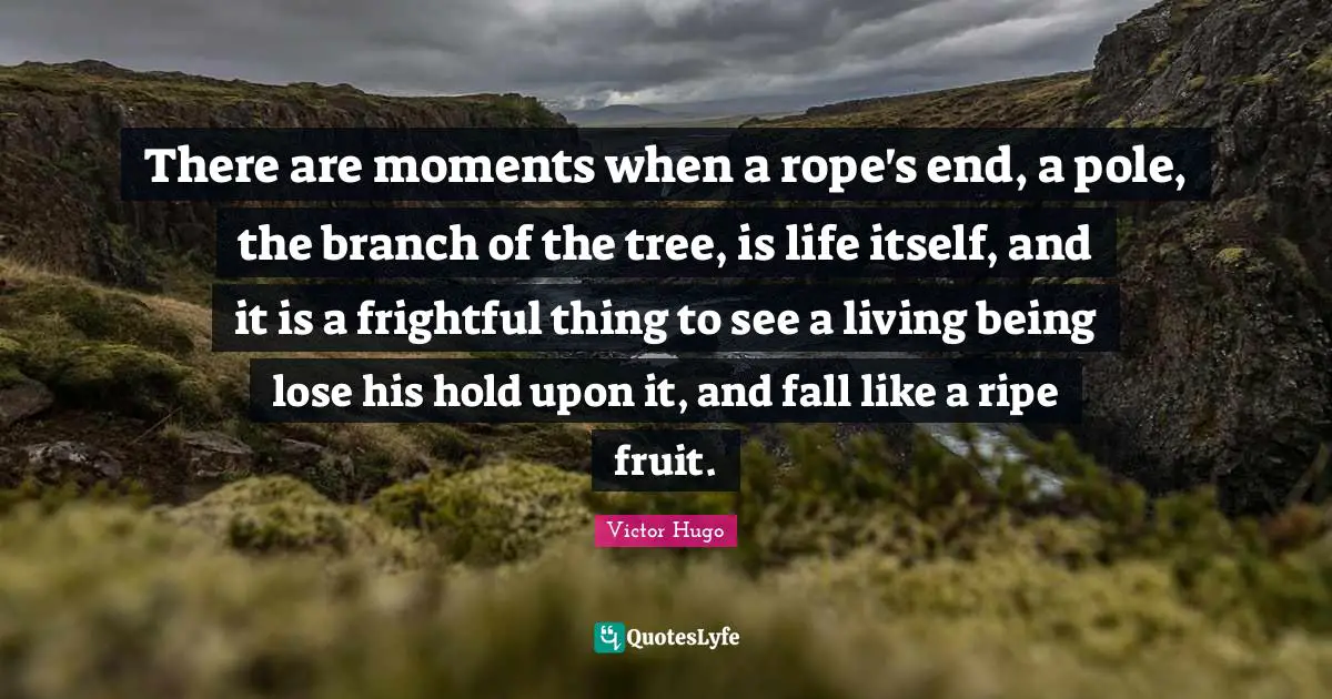 There are moments when a rope's end, a pole, the branch of the tree, is life itself, and it is a frightful thing to see a living being lose his hold upon it, and fall like a ripe fruit.