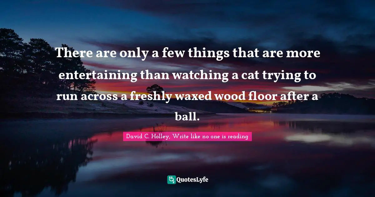 There are only a few things that are more entertaining than watching a cat trying to run across a freshly waxed wood floor after a ball.