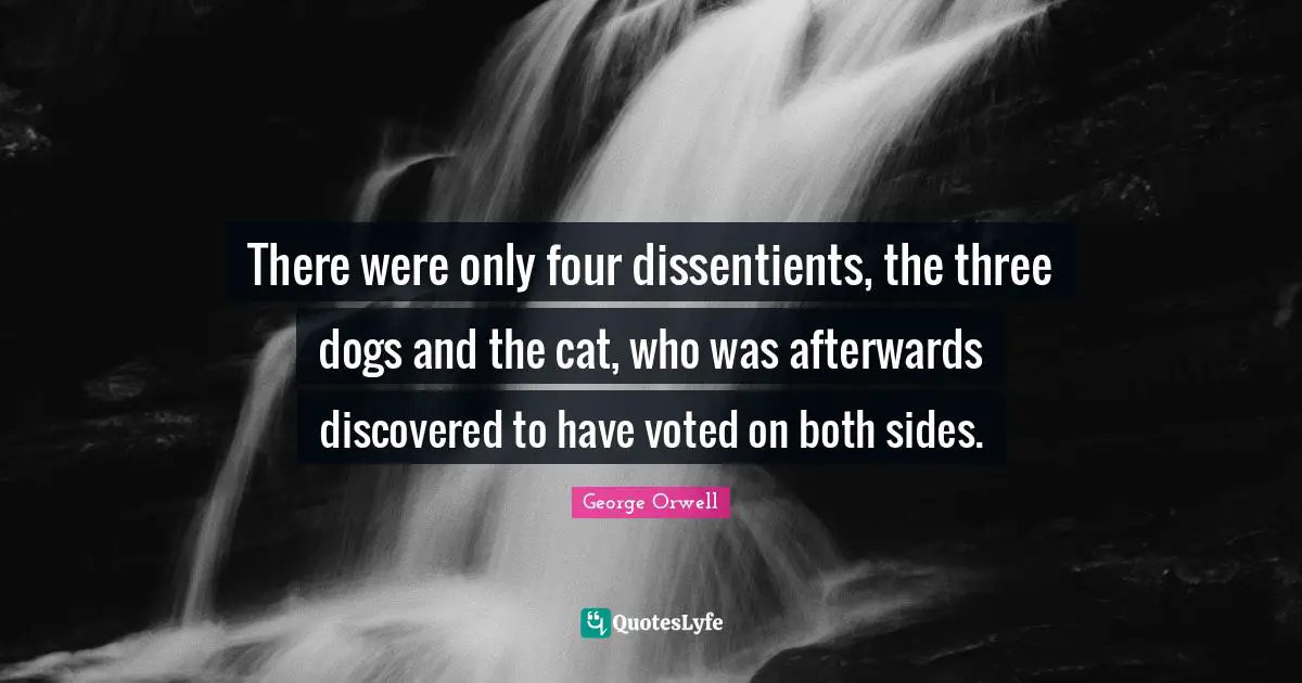 There were only four dissentients, the three dogs and the cat, who was afterwards discovered to have voted on both sides.
