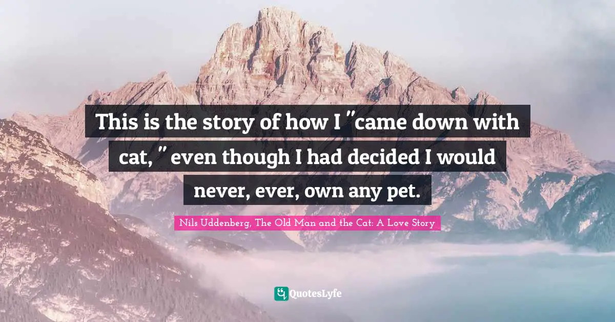 This is the story of how I "came down with cat, " even though I had decided I would never, ever, own any pet.