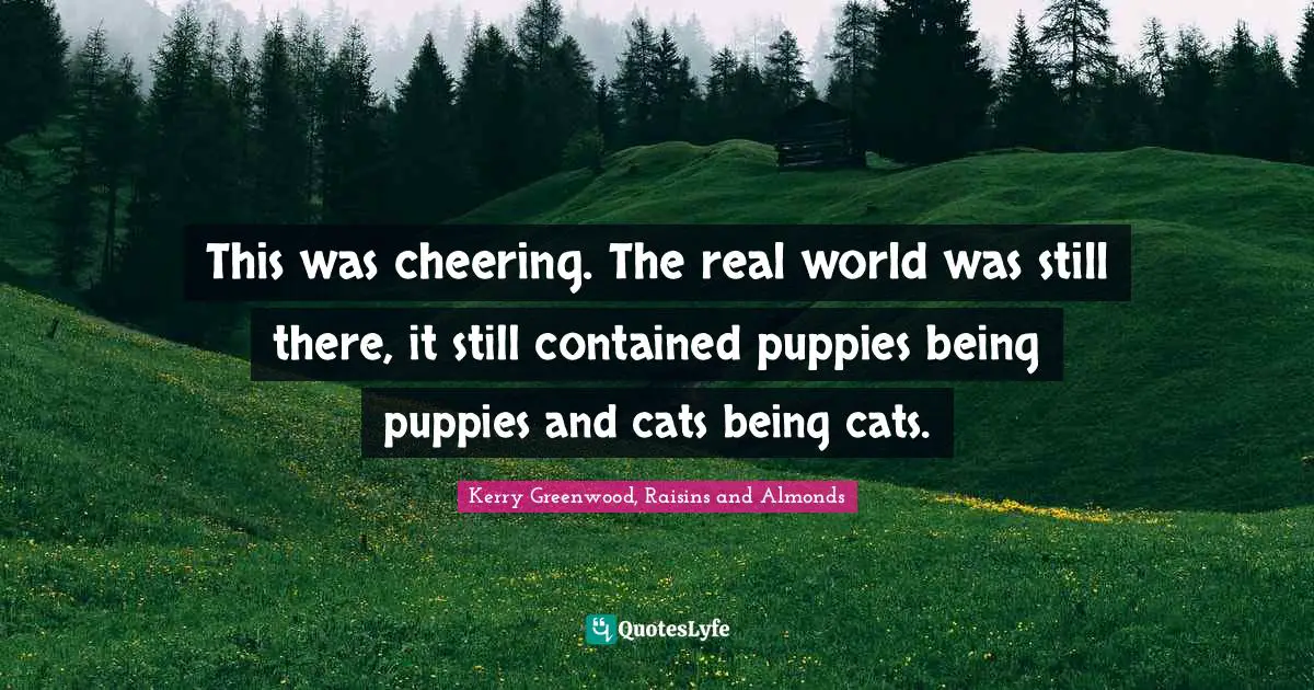 This was cheering. The real world was still there, it still contained puppies being puppies and cats being cats.