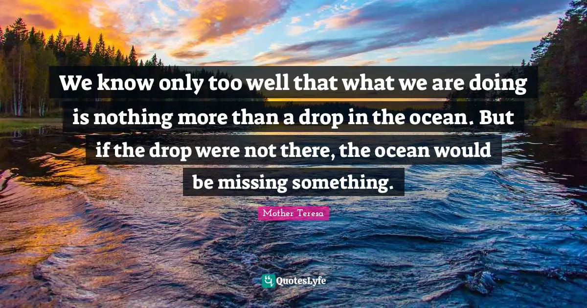 Drop Quotes: "We know only too well that what we are doing is nothing more than a drop in the ocean. But if the drop were not there, the ocean would be missing something."