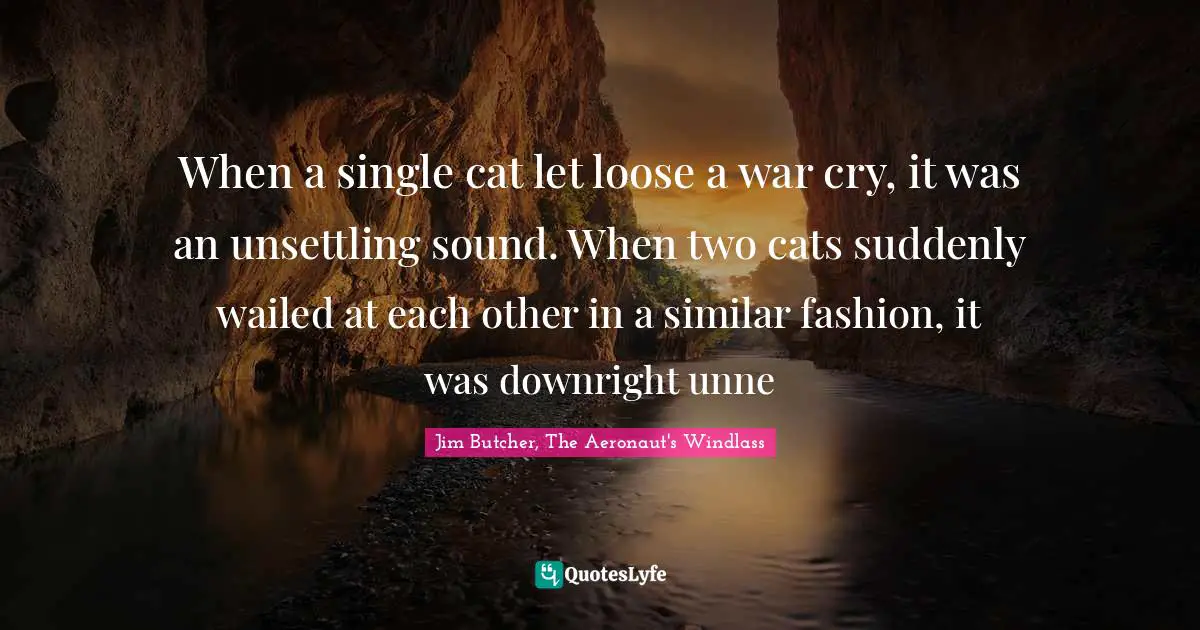 When a single cat let loose a war cry, it was an unsettling sound. When two cats suddenly wailed at each other in a similar fashion, it was downright unne
