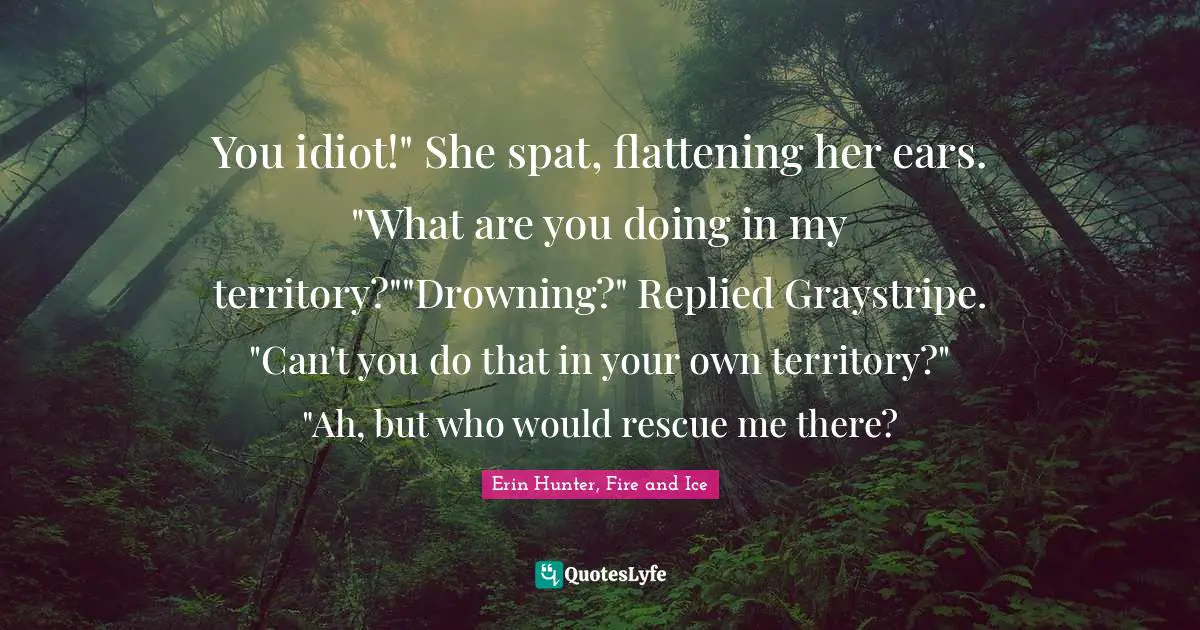You idiot!" She spat, flattening her ears. "What are you doing in my territory?""Drowning?" Replied Graystripe. "Can't you do that in your own territory?" "Ah, but who would rescue me there?