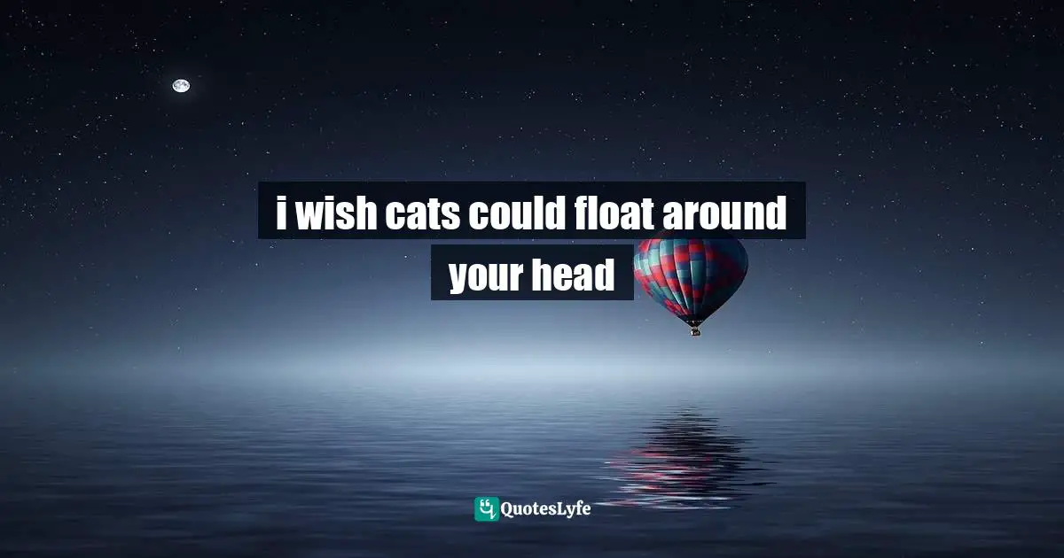i wish cats could float around your head