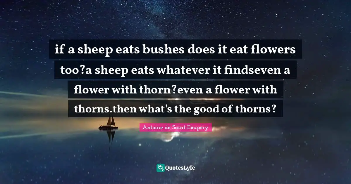 if a sheep eats bushes does it eat flowers too?a sheep eats whatever it findseven a flower with thorn?even a flower with thorns.then what's the good of thorns?