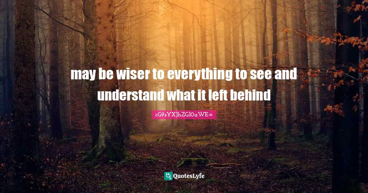 may be wiser to everything to see and understand what it left behind