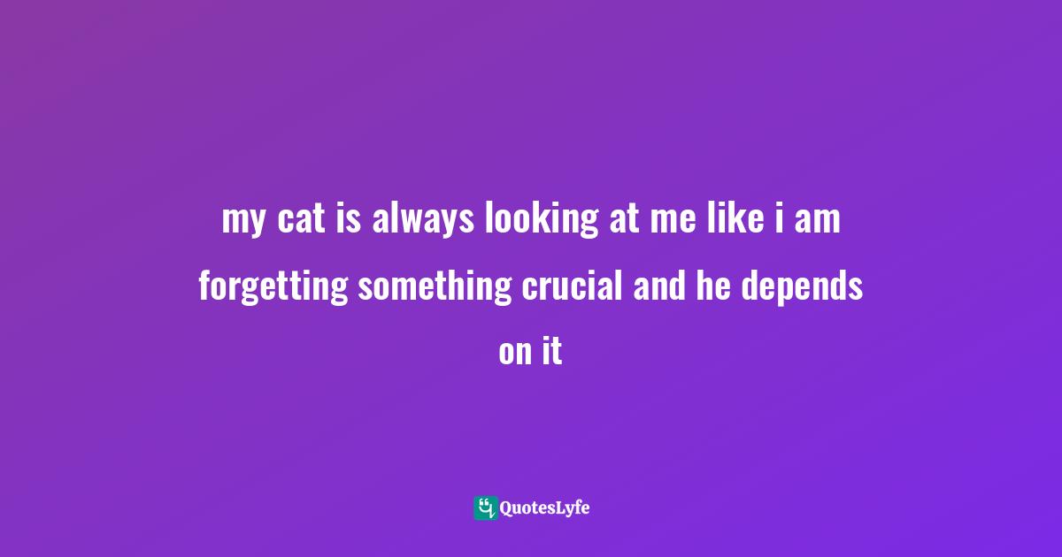 my cat is always looking at me like i am forgetting something crucial and he depends on it