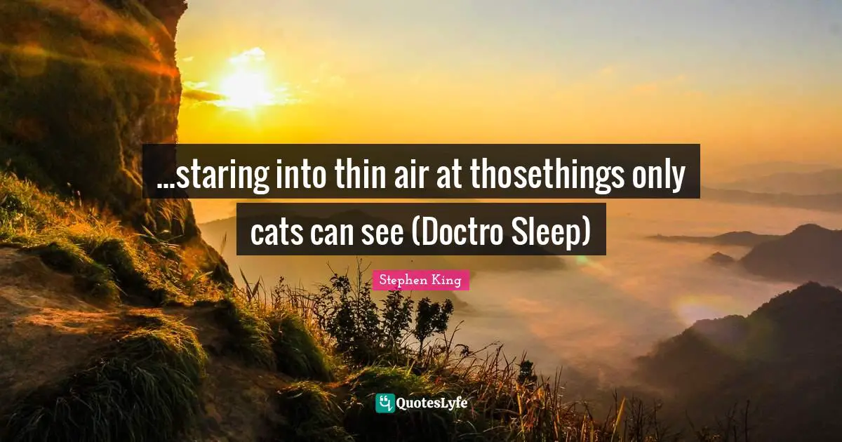 ...staring into thin air at thosethings only cats can see (Doctro Sleep)