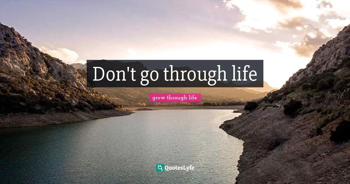 Don't go through life