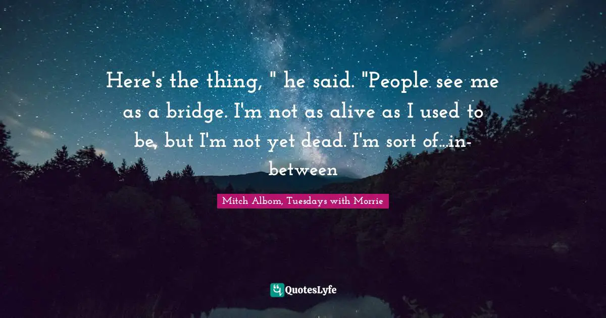 Bridge Quotes: "Here's the thing, " he said. "People see me as a bridge. I'm not as alive as I used to be, but I'm not yet dead. I'm sort of...in-between"