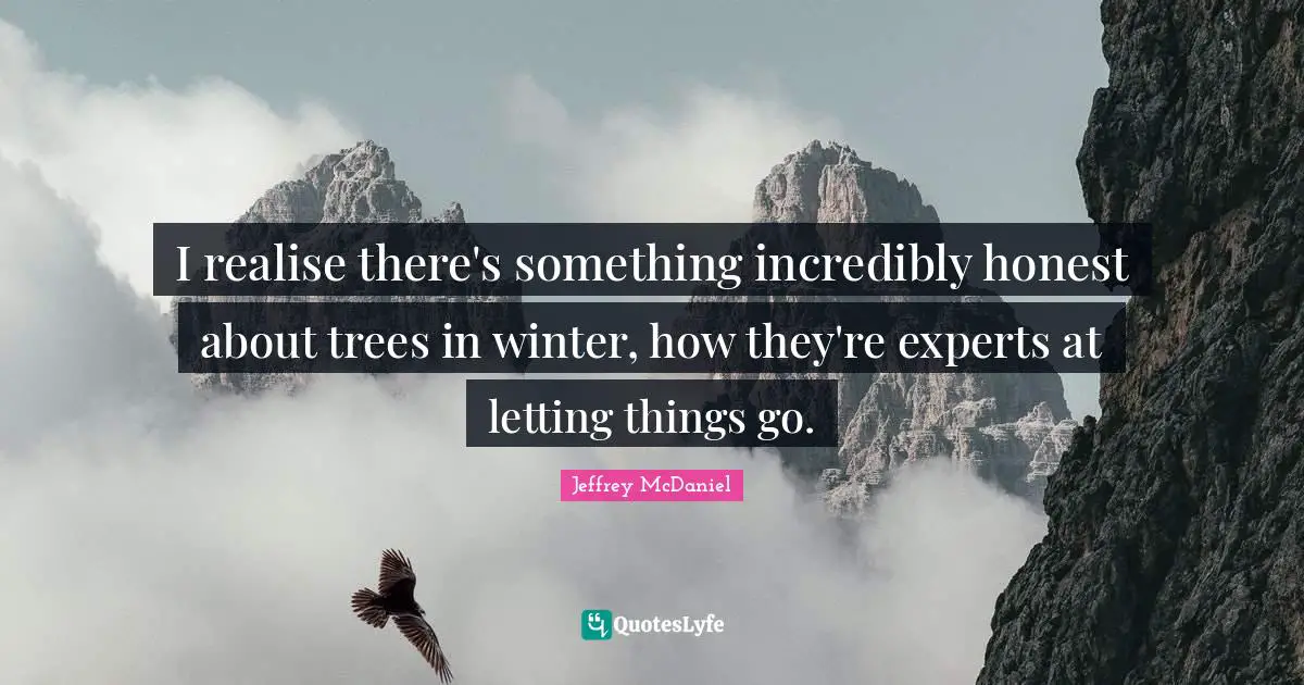 I realise there's something incredibly honest about trees in winter, how they're experts at letting things go.