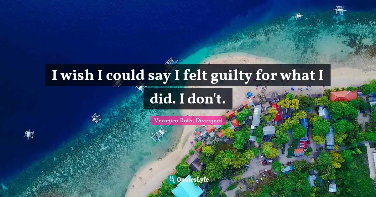 Veronica Roth, Divergent Quotes: "I wish I could say I felt guilty for what I did. I don't."