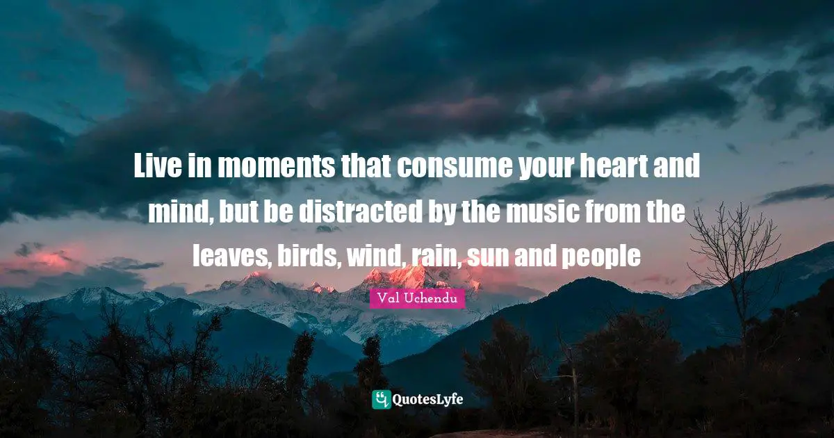 Live in moments that consume your heart and mind, but be distracted by the music from the leaves, birds, wind, rain, sun and people
