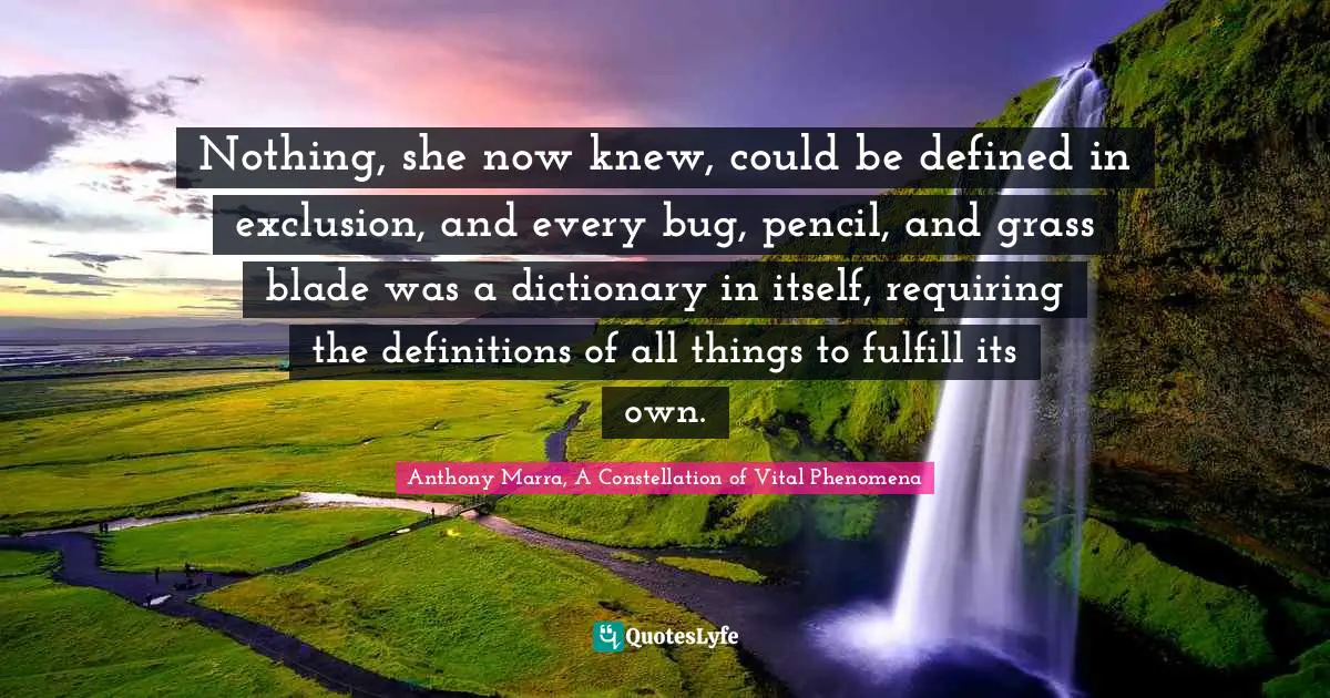 Nothing, she now knew, could be defined in exclusion, and every bug, pencil, and grass blade was a dictionary in itself, requiring the definitions of all things to fulfill its own.