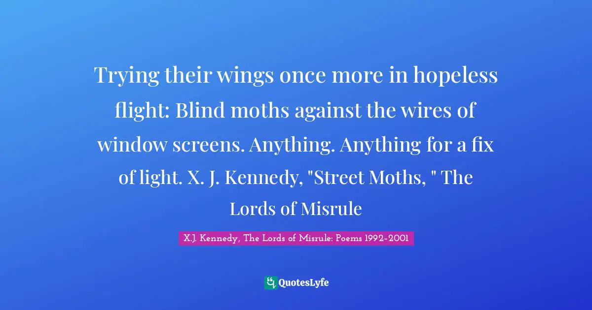 Trying their wings once more in hopeless flight: Blind moths against the wires of window screens. Anything. Anything for a fix of light. X. J. Kennedy, "Street Moths, " The Lords of Misrule