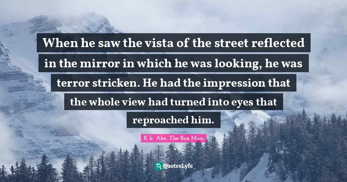 When he saw the vista of the street reflected in the mirror in which he was looking, he was terror stricken. He had the impression that the whole view had turned into eyes that reproached him.