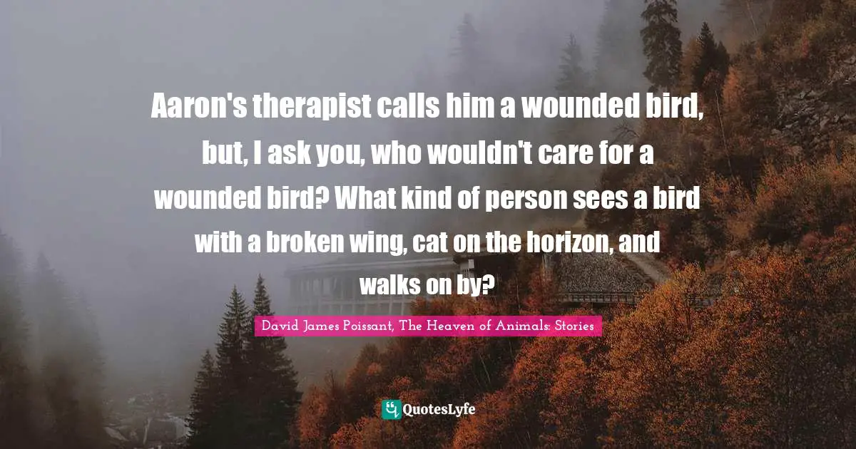 Aaron's therapist calls him a wounded bird, but, I ask you, who wouldn't care for a wounded bird? What kind of person sees a bird with a broken wing, cat on the horizon, and walks on by?