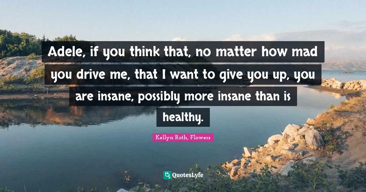 Adele, if you think that, no matter how mad you drive me, that I want to give you up, you are insane, possibly more insane than is healthy.