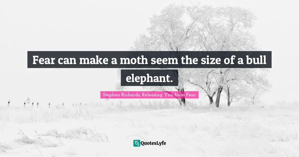 Phobias Quotes: "Fear can make a moth seem the size of a bull elephant."