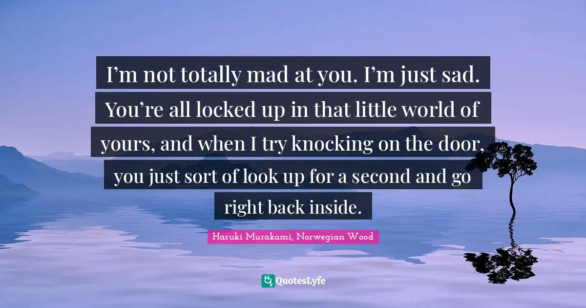 I M Not Totally Mad At You I M Just Sad You Re All Locked Up I Quote By Haruki Murakami Norwegian Wood Quoteslyfe