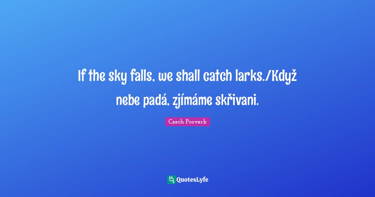 If the sky falls, we shall catch larks./Když nebe padá, zjímáme skřivani.