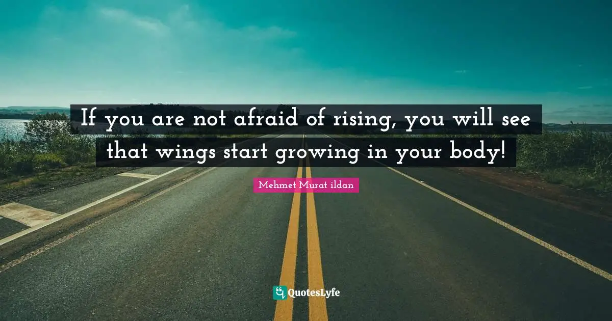 If you are not afraid of rising, you will see that wings start growing in your body!
