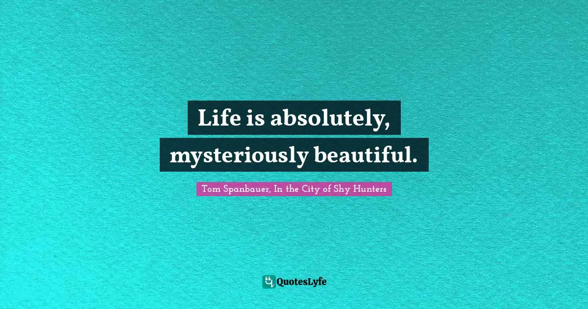 Life is absolutely, mysteriously beautiful.