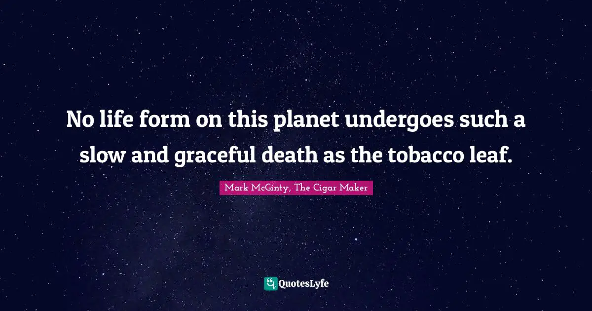 No life form on this planet undergoes such a slow and graceful death as the tobacco leaf.