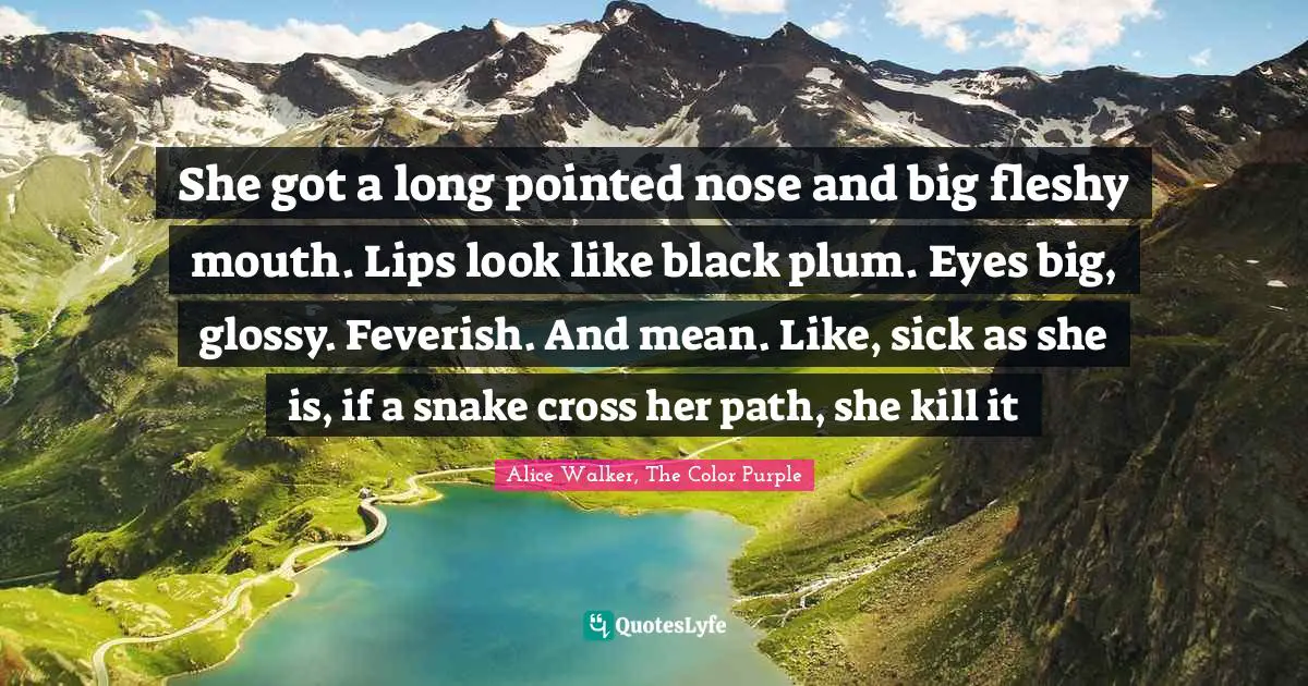 Alice Walker, The Color Purple Quotes: "She got a long pointed nose and big fleshy mouth. Lips look like black plum. Eyes big, glossy. Feverish. And mean. Like, sick as she is, if a snake cross her path, she kill it"