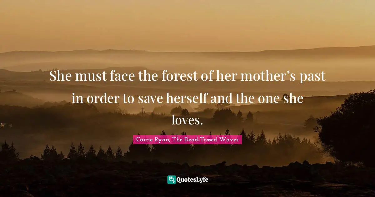 She must face the forest of her mother’s past in order to save herself and the one she loves.