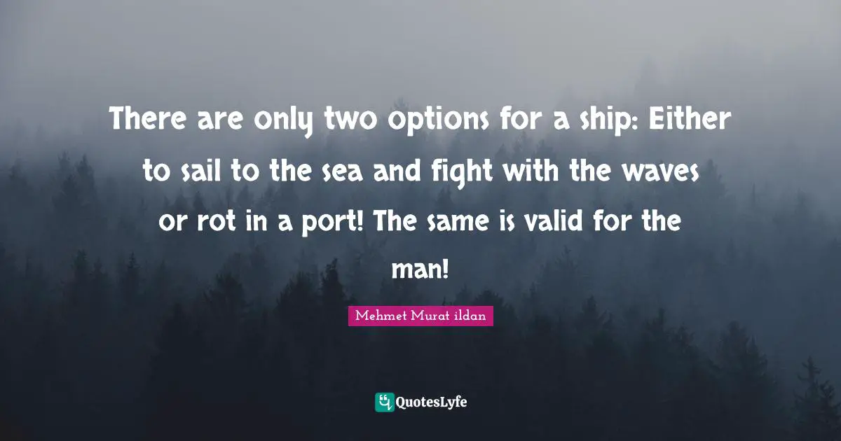 There are only two options for a ship: Either to sail to the sea and fight with the waves or rot in a port! The same is valid for the man!