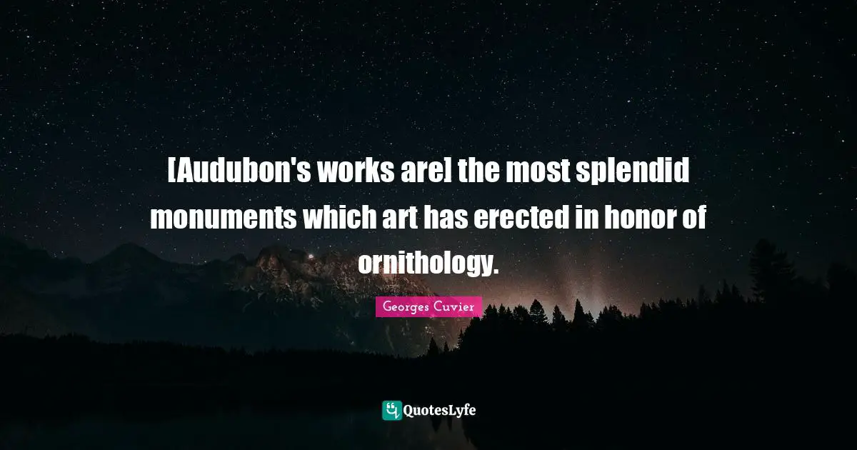[Audubon's works are] the most splendid monuments which art has erected in honor of ornithology.
