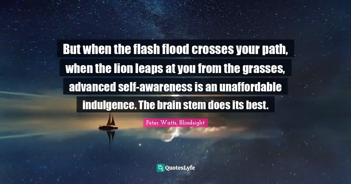 But when the flash flood crosses your path, when the lion leaps at you from the grasses, advanced self-awareness is an unaffordable indulgence. The brain stem does its best.