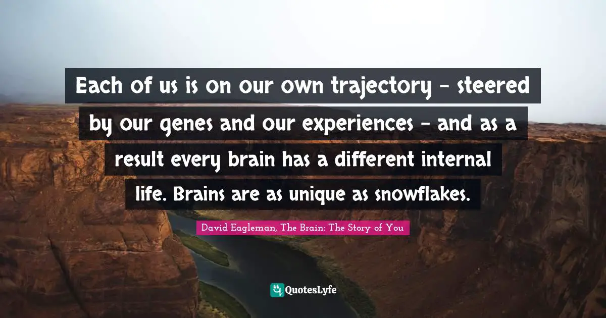 Each of us is on our own trajectory – steered by our genes and our experiences – and as a result every brain has a different internal life. Brains are as unique as snowflakes.