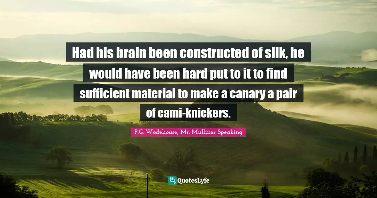 Had his brain been constructed of silk, he would have been hard put to it to find sufficient material to make a canary a pair of cami-knickers.