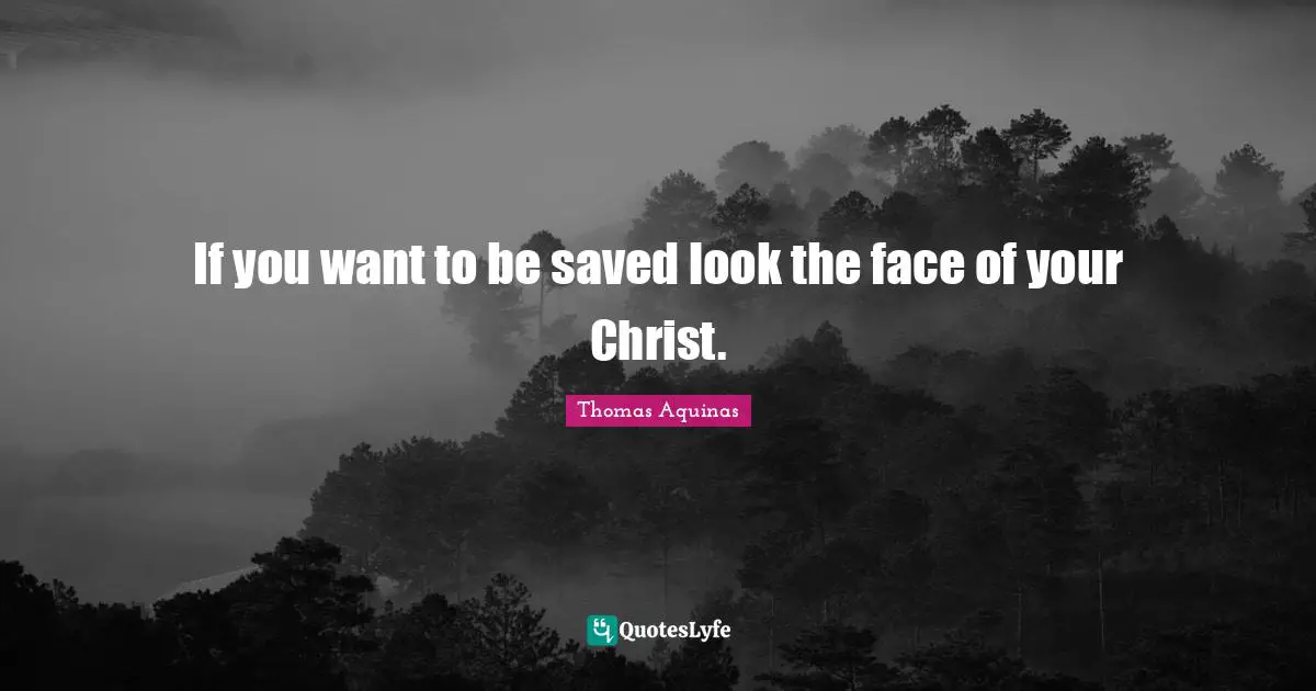 If you want to be saved look the face of your Christ.