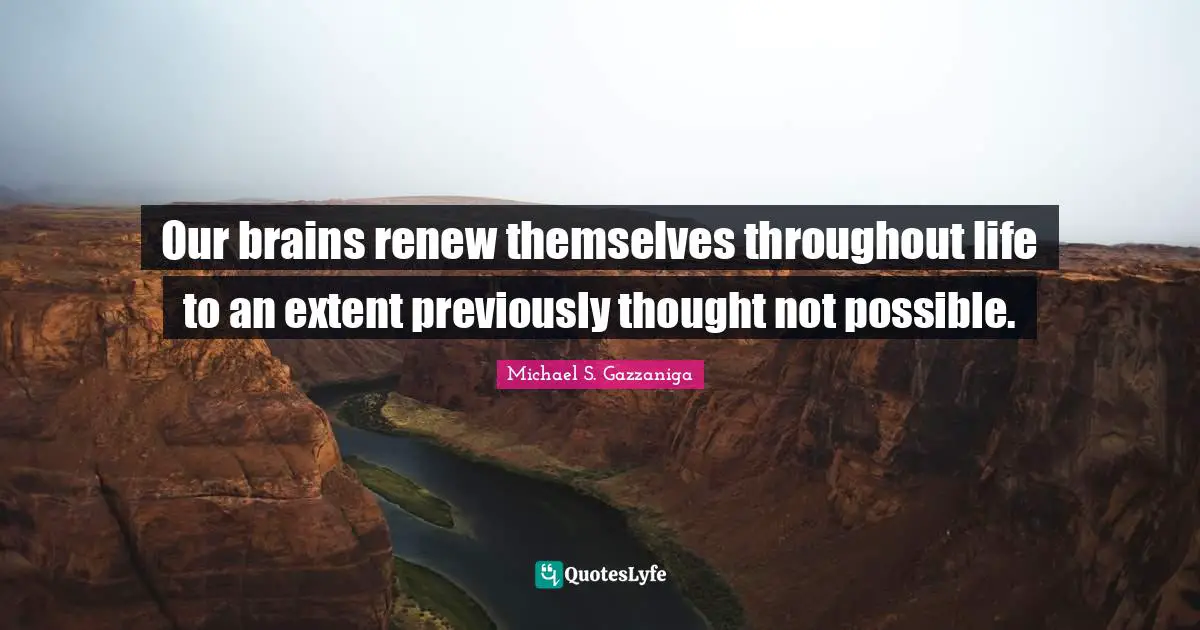 Our brains renew themselves throughout life to an extent previously thought not possible.