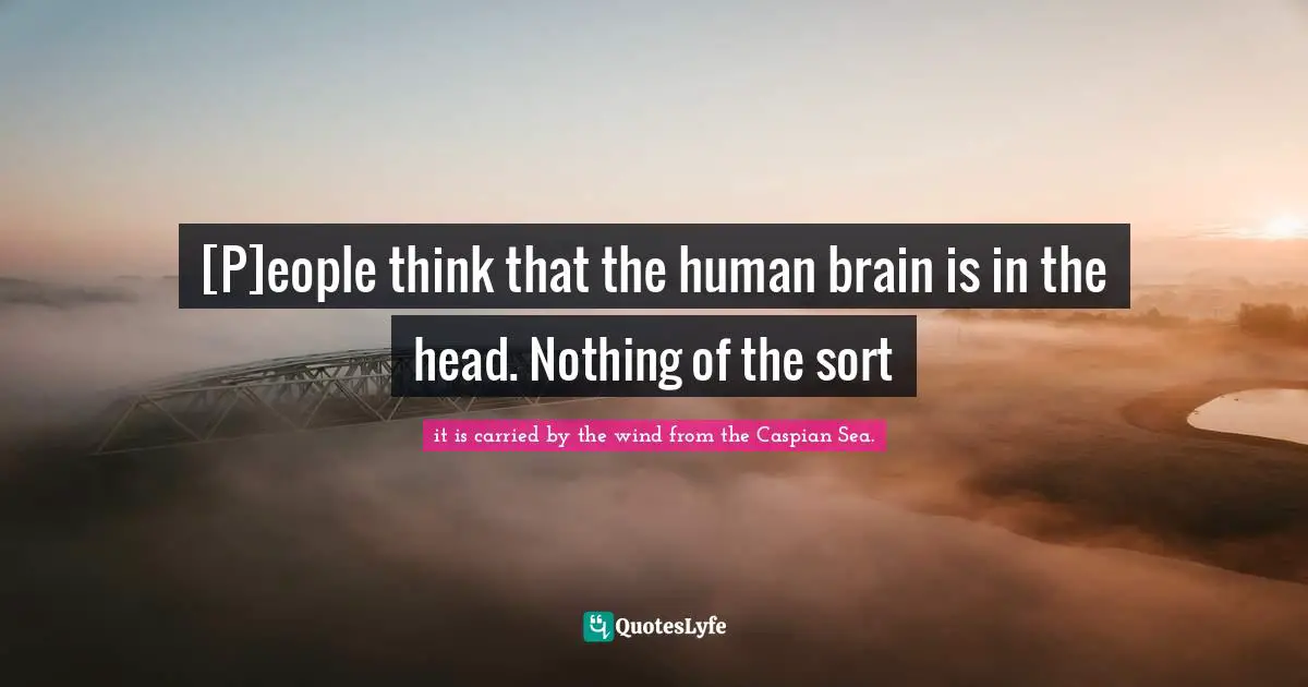 [P]eople think that the human brain is in the head. Nothing of the sort