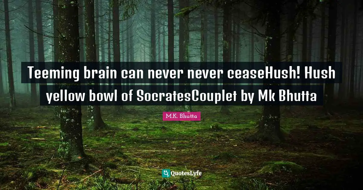 Teeming brain can never never ceaseHush! Hush yellow bowl of SocratesCouplet by Mk Bhutta