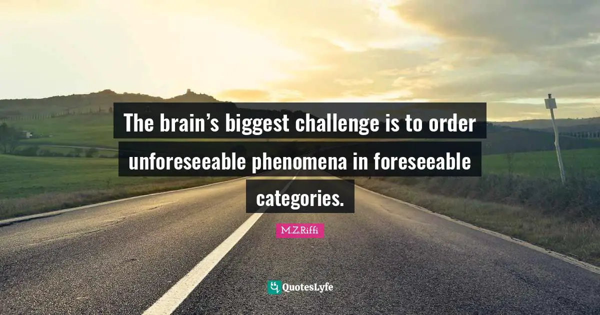 The brain’s biggest challenge is to order unforeseeable phenomena in foreseeable categories.