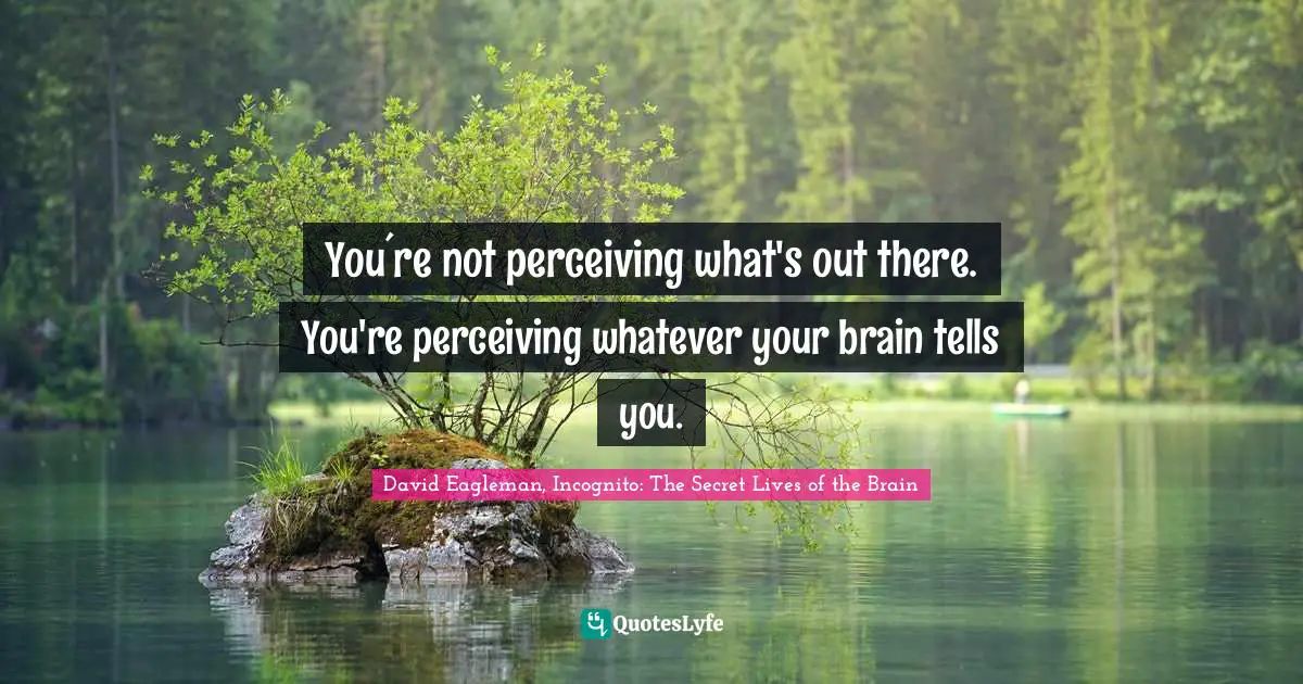 You´re not perceiving what's out there. You're perceiving whatever your brain tells you.