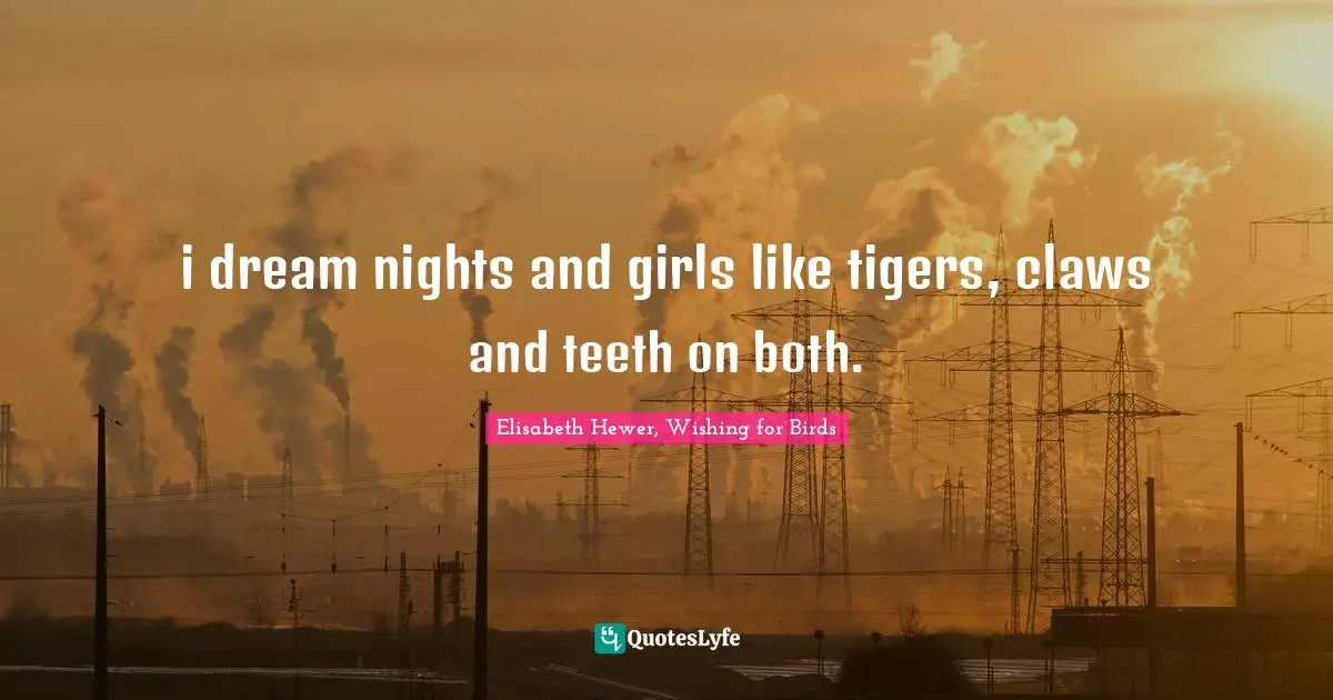 i dream nights and girls like tigers, claws and teeth on both.