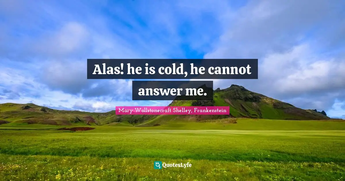Mary Wollstonecraft Shelley, Frankenstein Quotes: "Alas! he is cold, he cannot answer me."