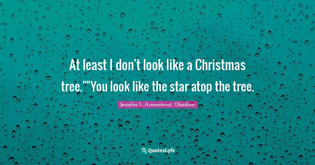 Jennifer L. Armentrout, Obsidian Quotes: "At least I don't look like a Christmas tree.""You look like the star atop the tree."