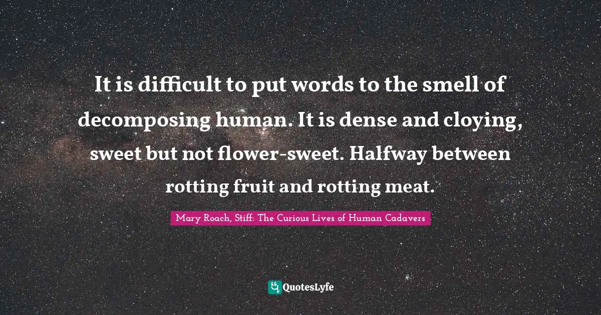 It is difficult to put words to the smell of decomposing human. It is dense and cloying, sweet but not flower-sweet. Halfway between rotting fruit and rotting meat.
