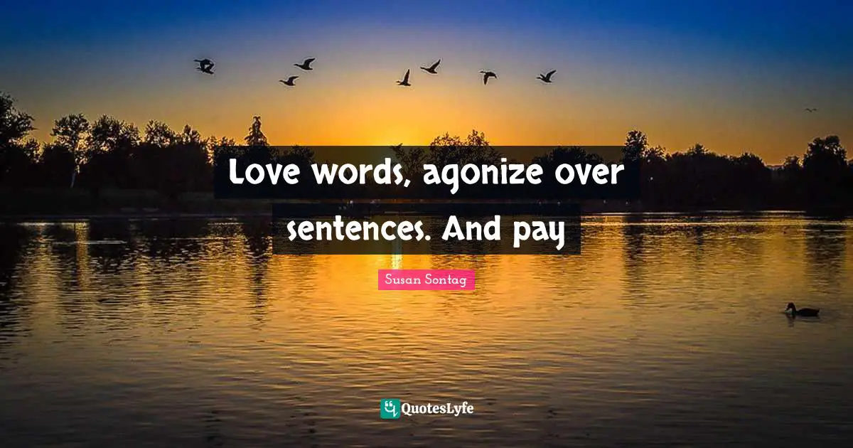 Love words, agonize over sentences. And pay