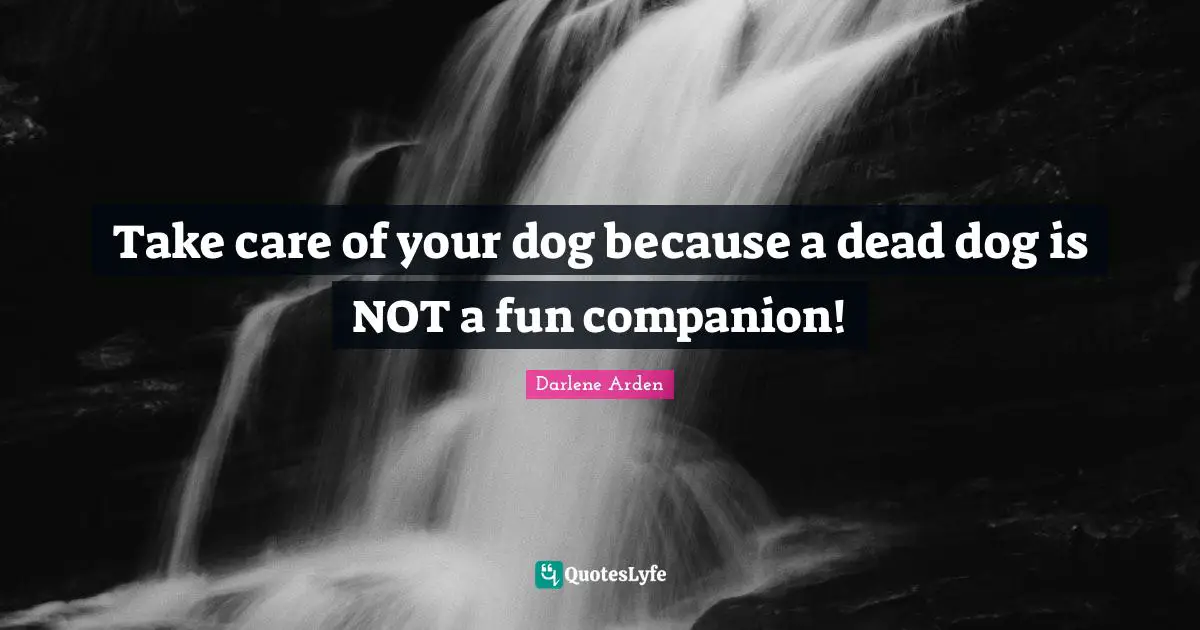 Take care of your dog because a dead dog is NOT a fun companion!