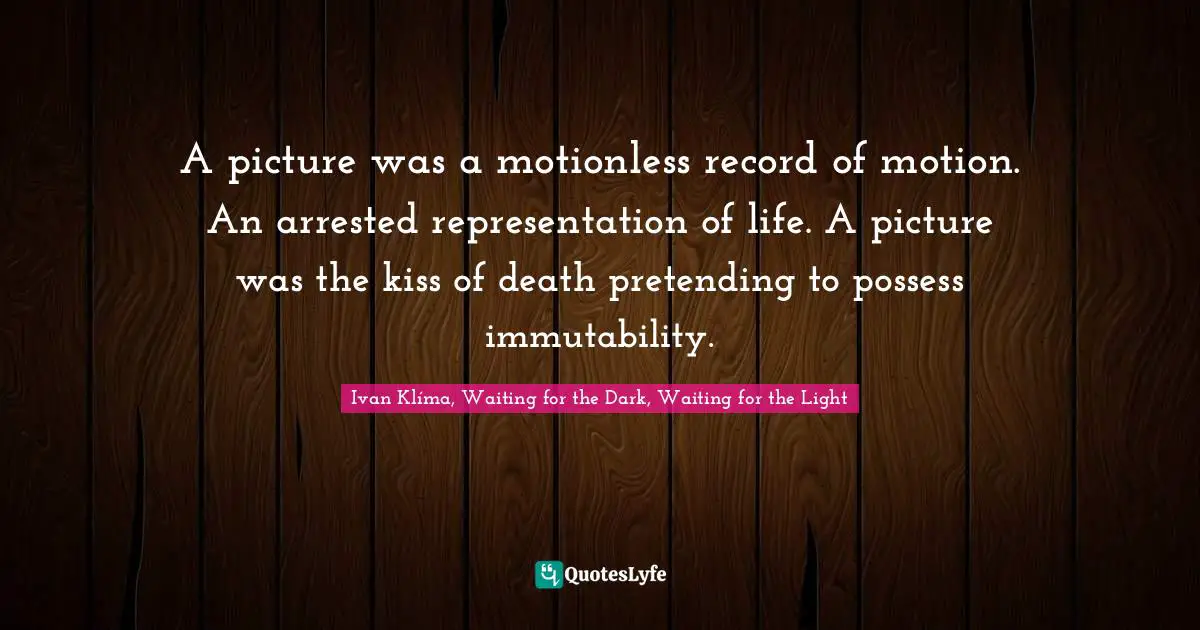 A picture was a motionless record of motion. An arrested representation of life. A picture was the kiss of death pretending to possess immutability.